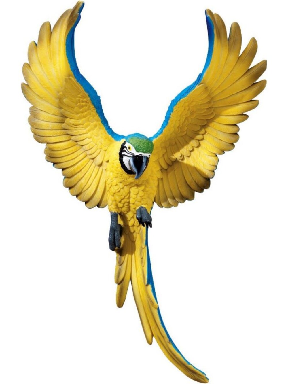 Tropical Macaw Bird Wall Sculpture - 16" Colorful Polyresin Decor for Home